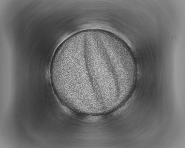 X0000111461513200908031329