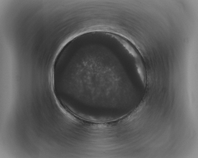 X0000111461515200908031329