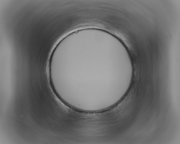 X0000111461516200908031329
