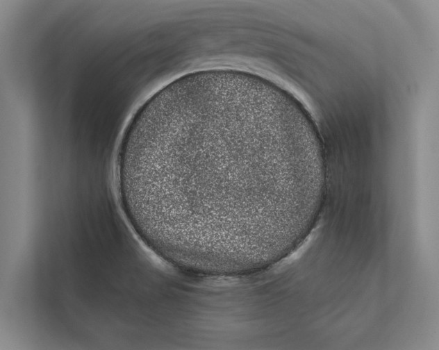 X0000111461517200908031329