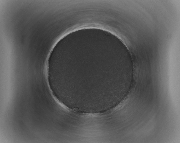 X0000111461519200908031329