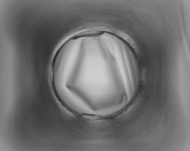 X0000111461520200908031329