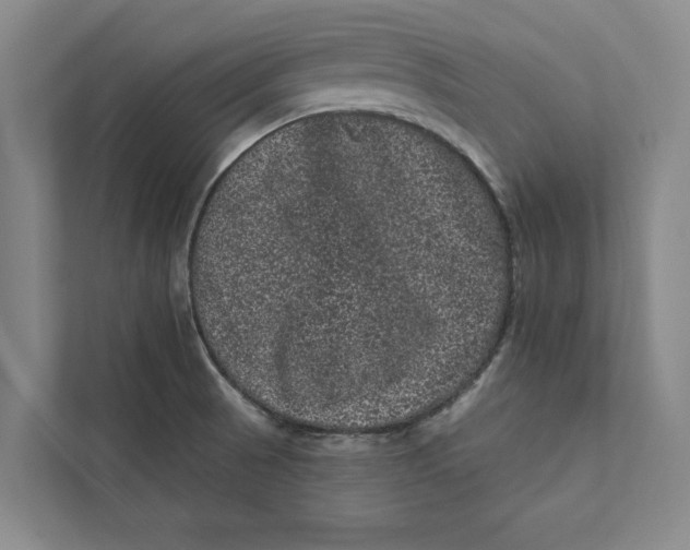 X0000111461521200908031329