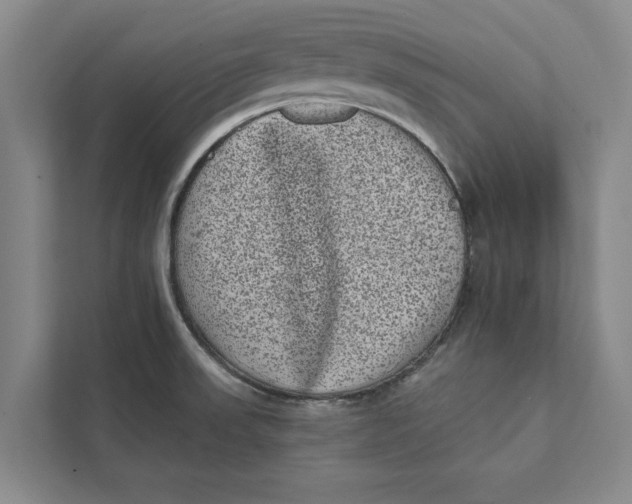 X0000111461523200908031329
