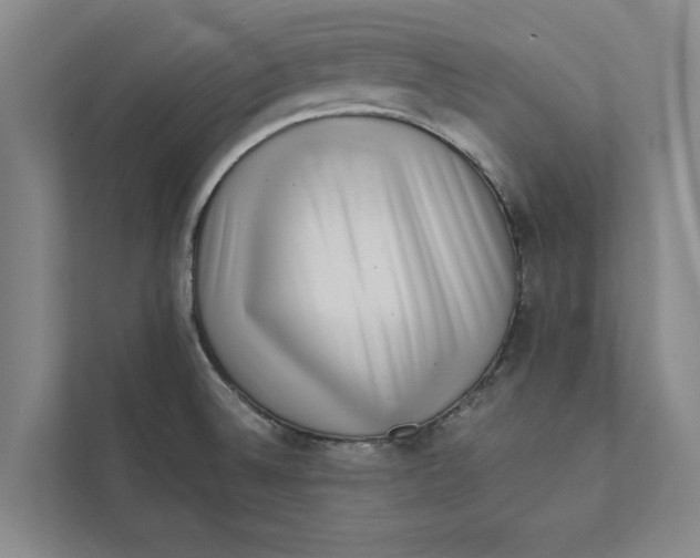 X0000111461524200908031329