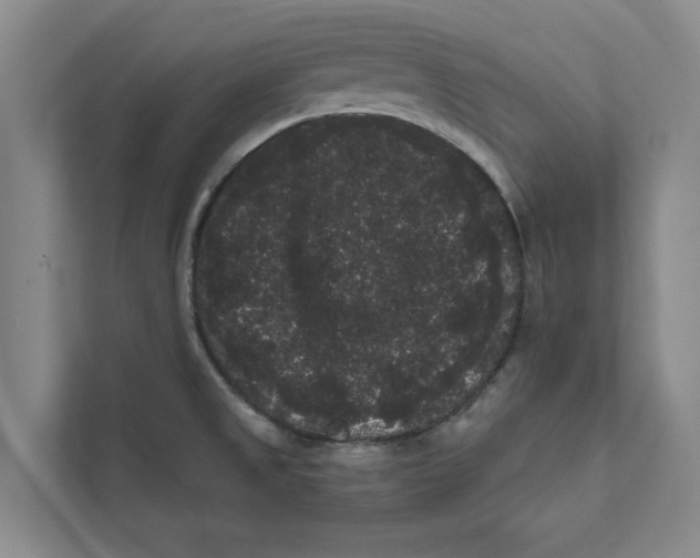 X0000111461525200908031329
