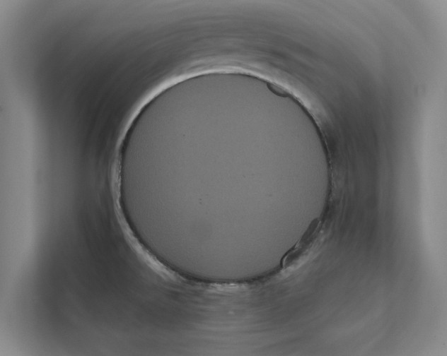 X0000111461526200908031329