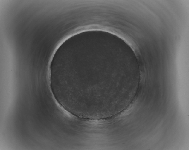 X0000111461527200908031329