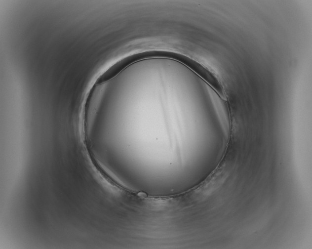 X0000111461528200908031329