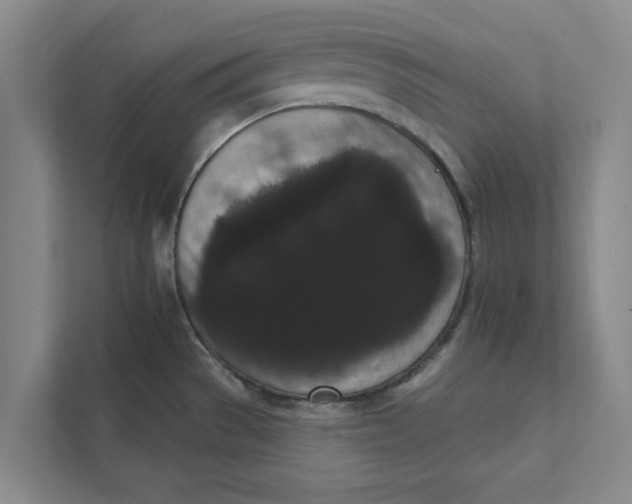 X0000111461529200908031329