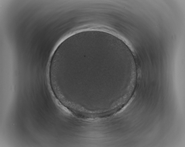 X0000111461530200908031329