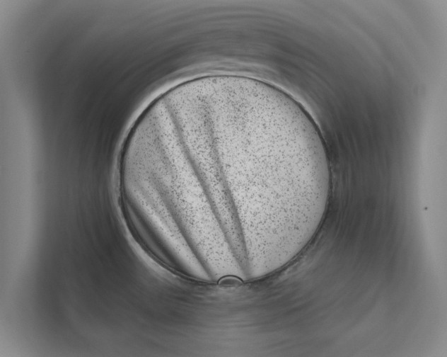 X0000111461531200908031329