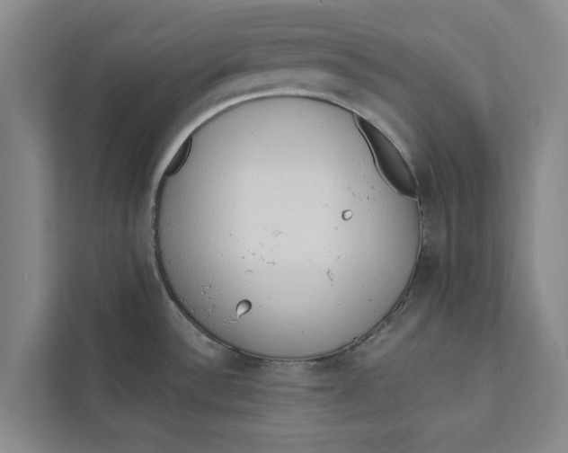 X0000111461532200908031329