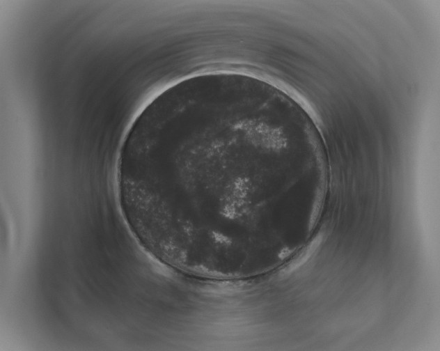 X0000111461533200908031329