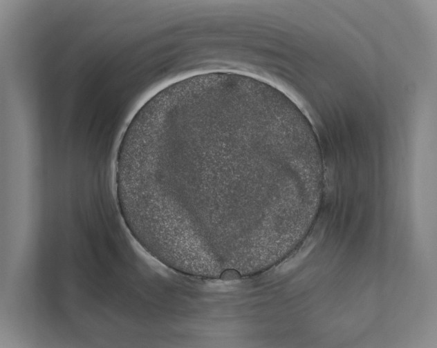 X0000111461535200908031329