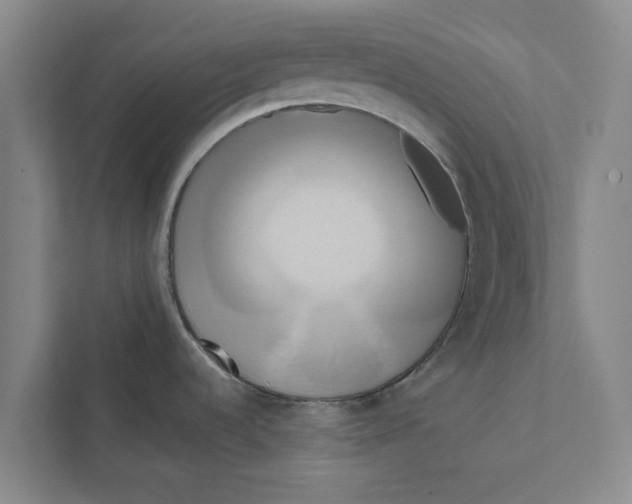 X0000111461536200908031329