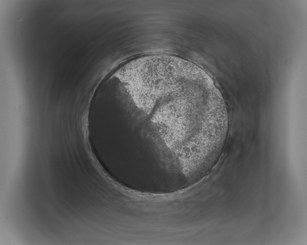 X0000111460002200908101104