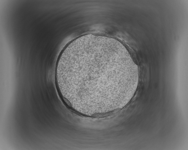 X0000111460003200908101104