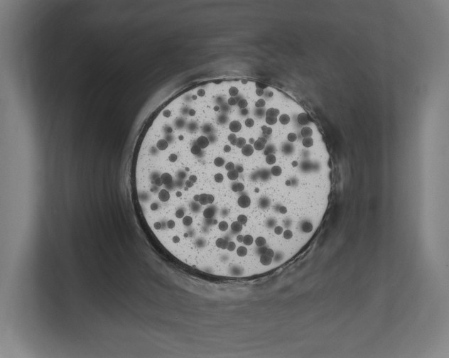 X0000111460004200908101104