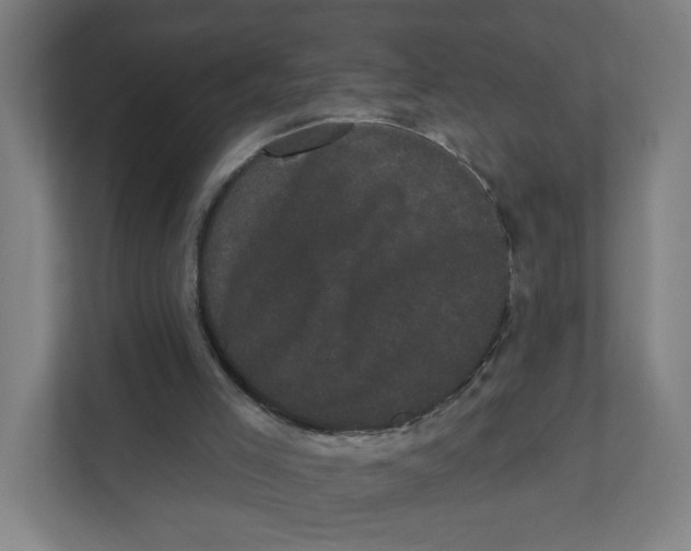X0000111460005200908101104