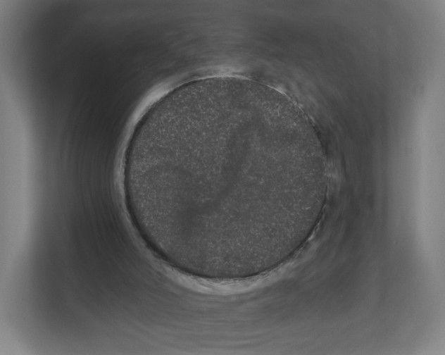 X0000111460006200908101104