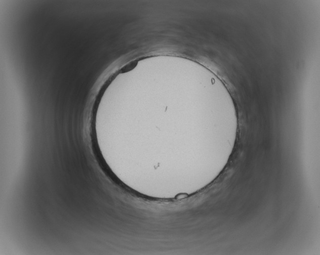 X0000111460007200908101104