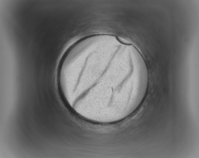 X0000111460008200908101104
