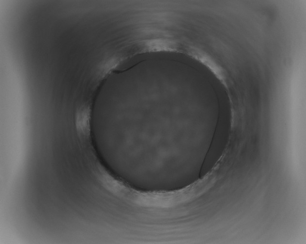 X0000111460009200908101104