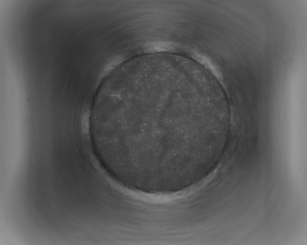 X0000111460010200908101104