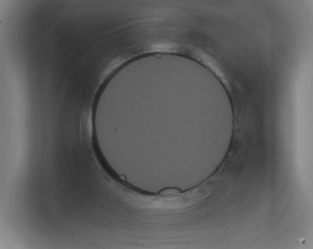 X0000111460011200908101104