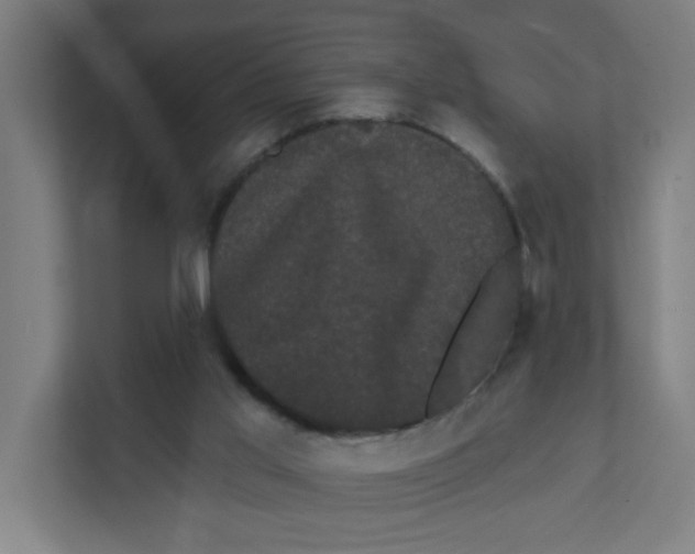 X0000111460013200908101104