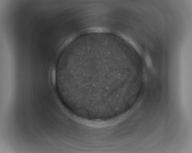 X0000111460014200908101104