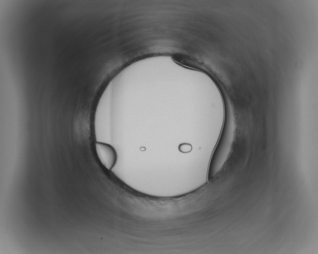 X0000111460015200908101104