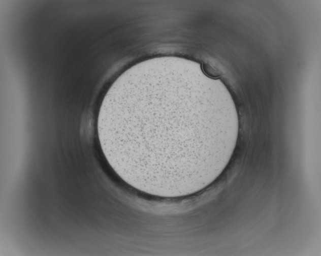 X0000111460016200908101104