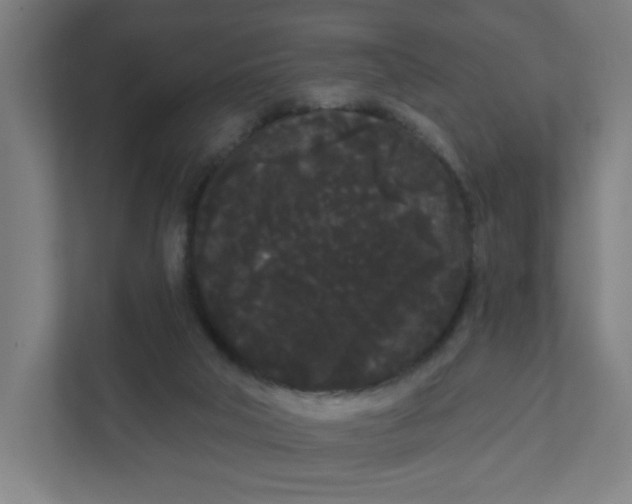 X0000111460018200908101104