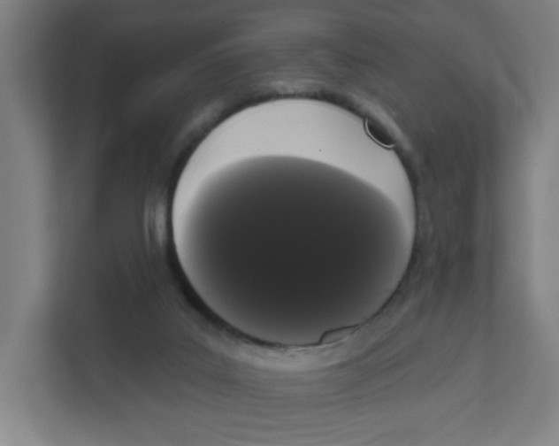 X0000111460019200908101104