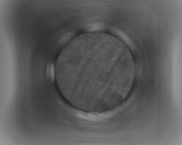 X0000111460022200908101104