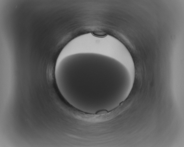X0000111460023200908101104
