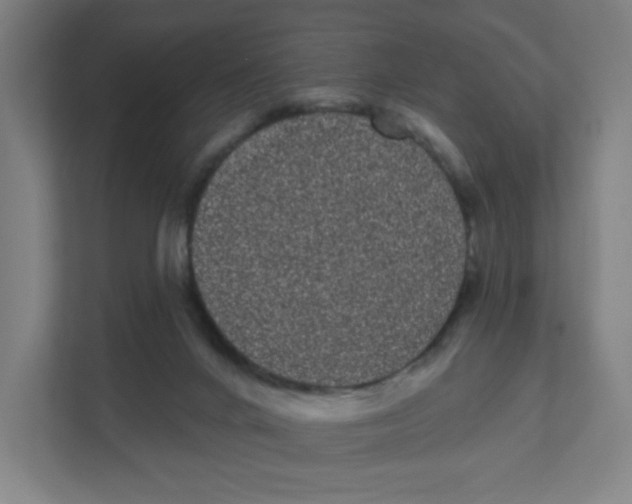 X0000111460024200908101103