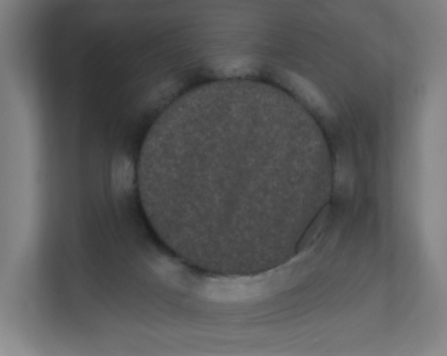 X0000111460025200908101103