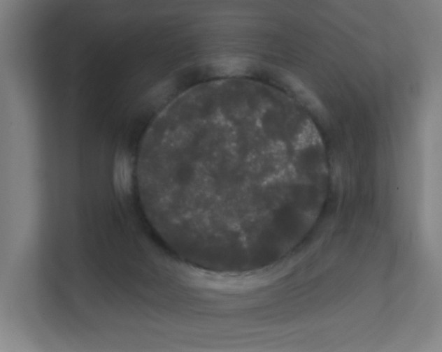 X0000111460026200908101103
