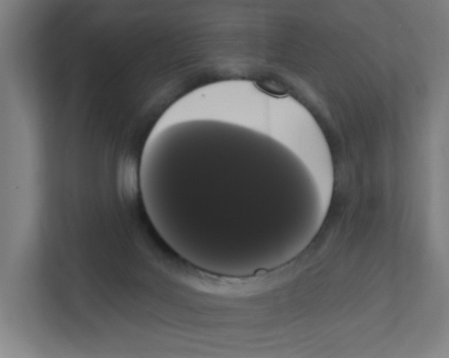 X0000111460027200908101103