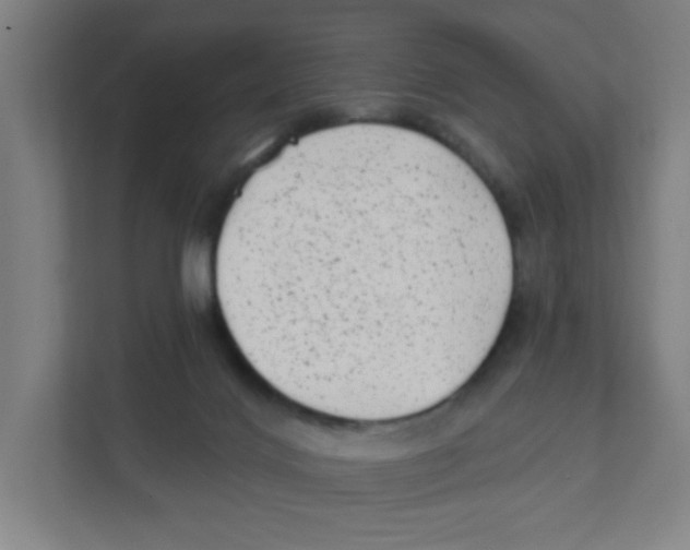 X0000111460028200908101103