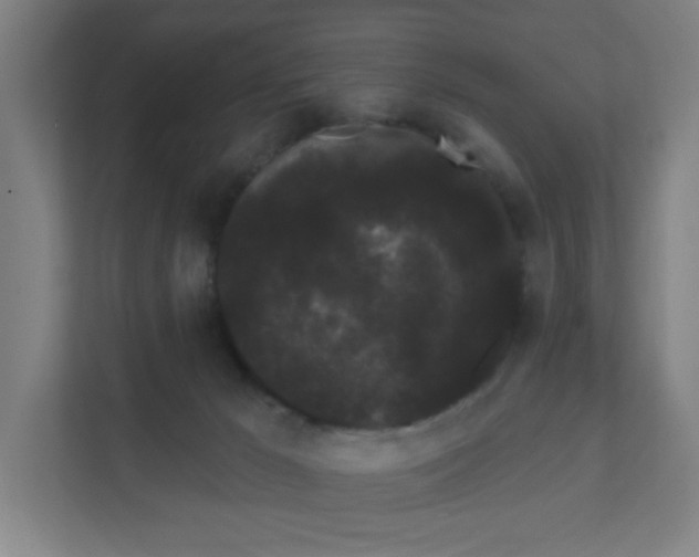 X0000111460029200908101103