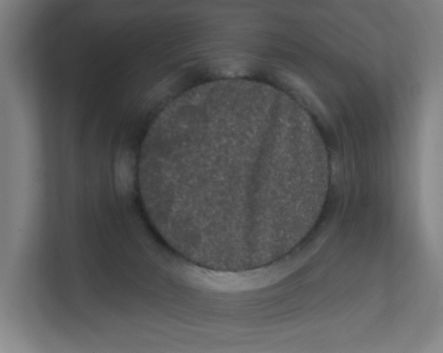 X0000111460030200908101103