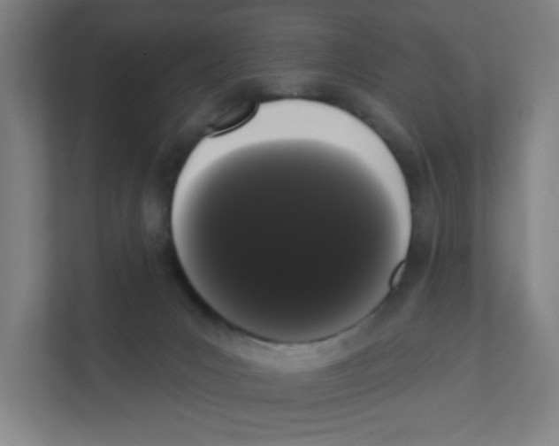 X0000111460031200908101103