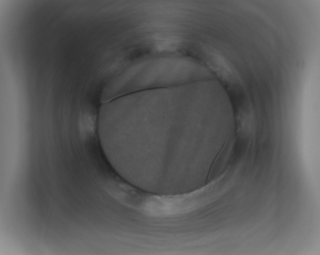 X0000111460033200908101103