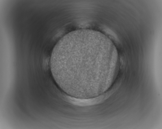 X0000111460034200908101103