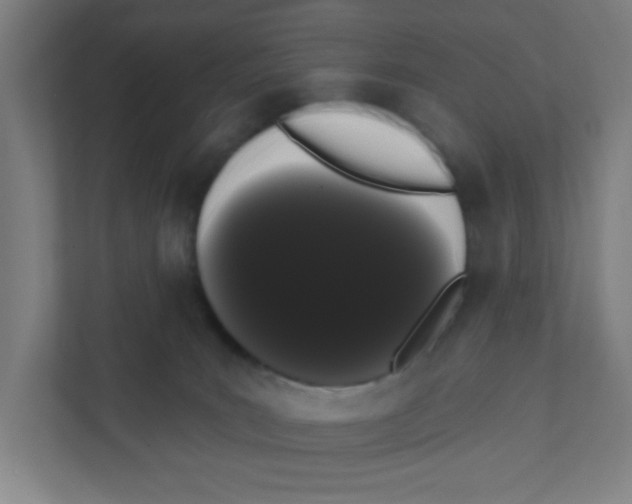X0000111460035200908101103