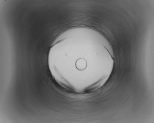 X0000111460036200908101103